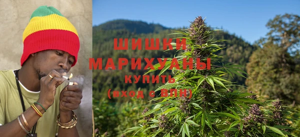 бутират Белокуриха