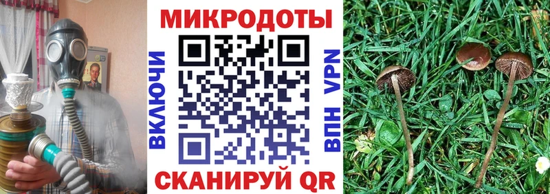 Галлюциногенные грибы Cubensis  Купить  Белорецк 